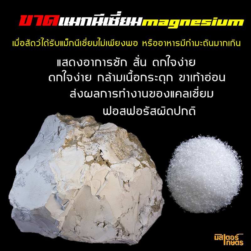 มินเนอร์99 "Minner99" แร่ธาตุจำเป็นสำหรับสัตว์